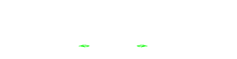 PALAMIS77