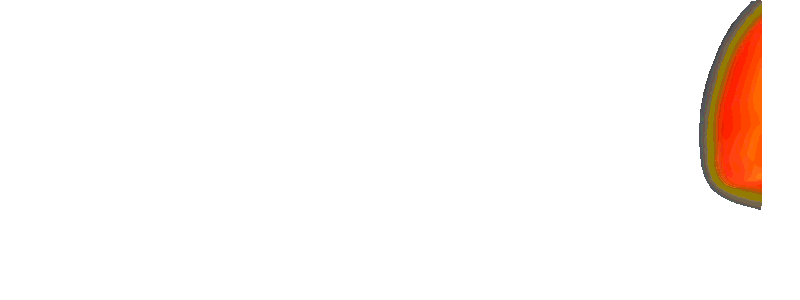 ZONAMANIS89