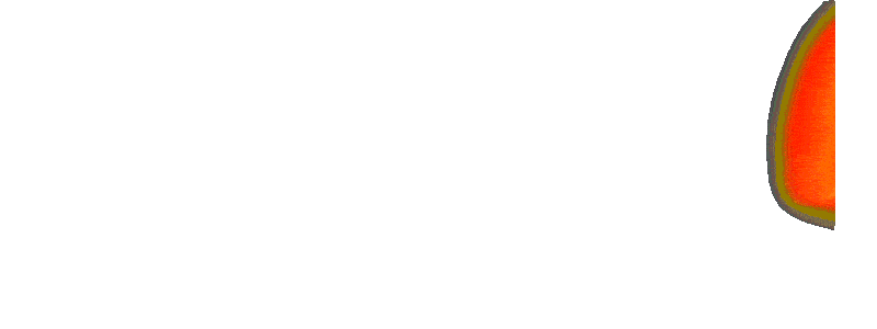 ZONAMANIS89